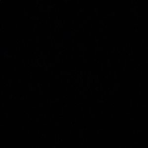 Meet your Posher, Daniela